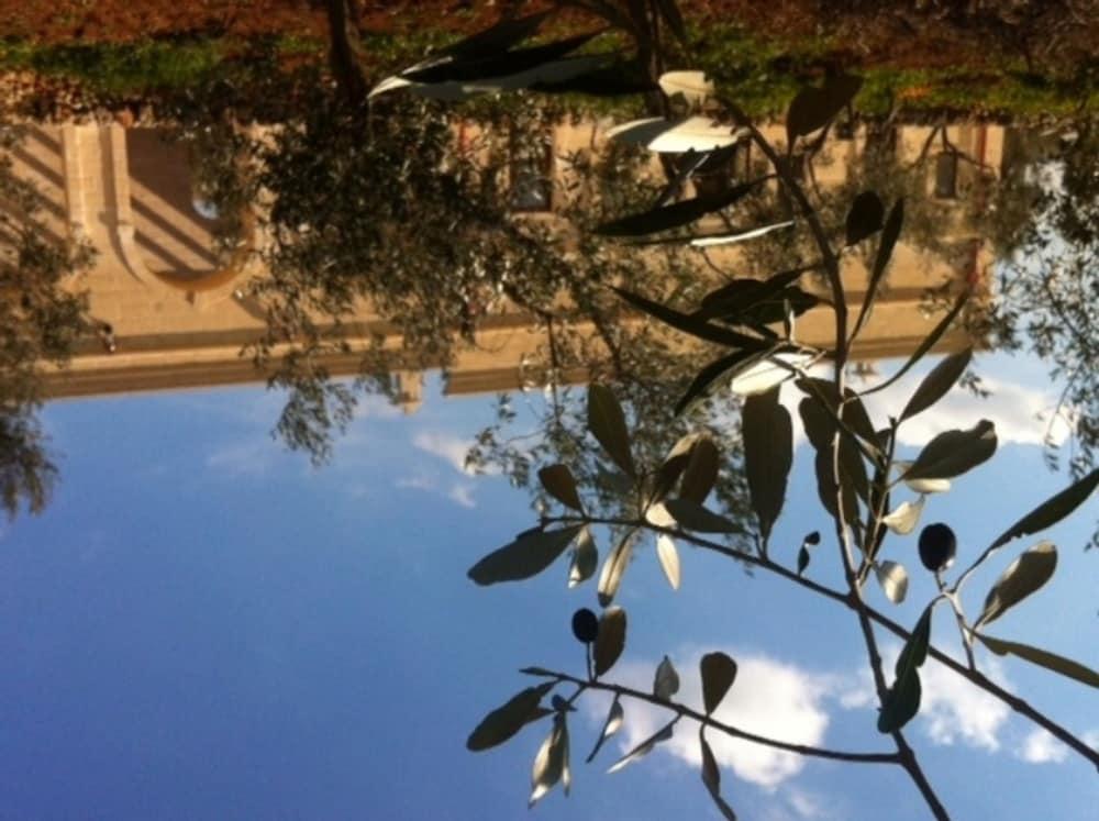 Agriturismo Masseria San Leonardo Savelletri Bagian luar foto