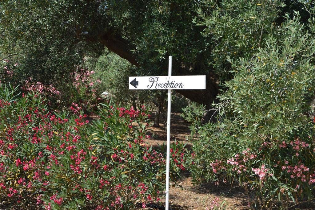 Agriturismo Masseria San Leonardo Savelletri Bagian luar foto