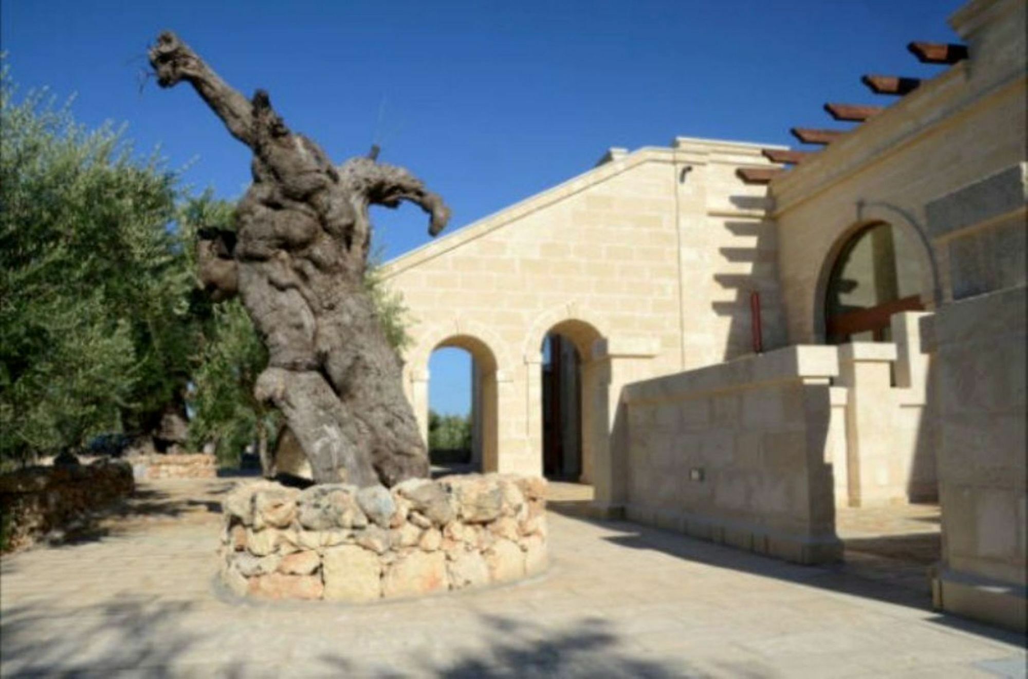 Agriturismo Masseria San Leonardo Savelletri Bagian luar foto