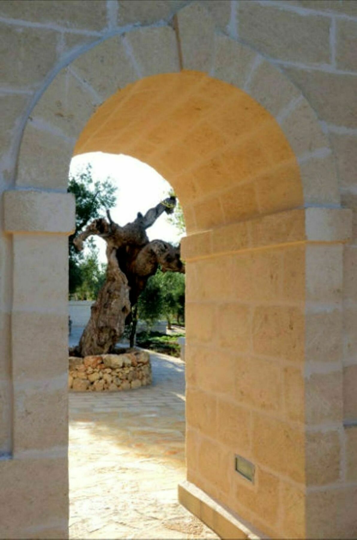 Agriturismo Masseria San Leonardo Savelletri Bagian luar foto
