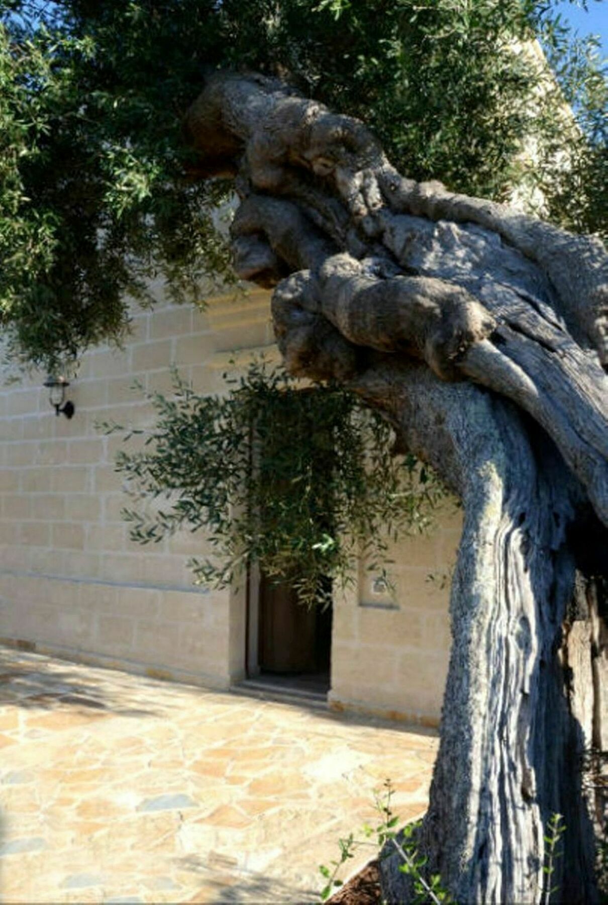 Agriturismo Masseria San Leonardo Savelletri Bagian luar foto
